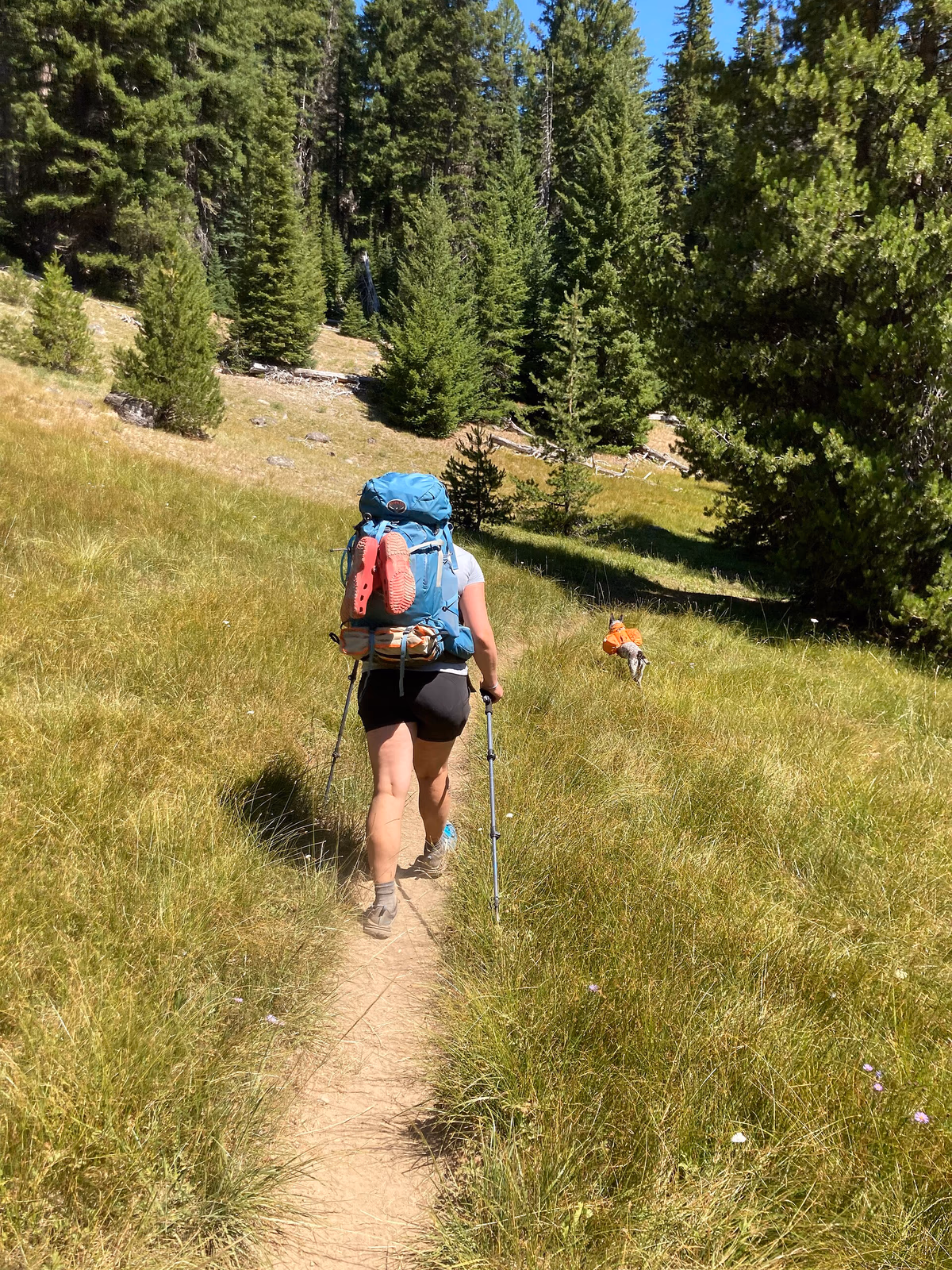 Backpacker and dog in Goat Rocks Wilderness