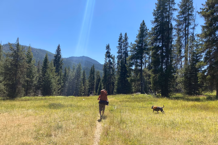Backpacker and dog in Goat Rocks Wilderness 01